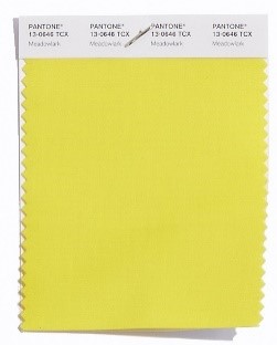 PANTONE 13-0646 Meadowlark: Das kühne und lebendige Meadowlark, ein zuversichtlicher und frischer Gelbton, hebt die Frühjahrsphase 2018 hervor, die mit Freude glänzt und die Welt um uns herum erleuchtet.